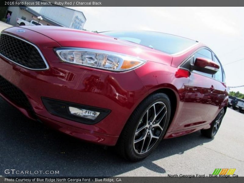 Ruby Red / Charcoal Black 2016 Ford Focus SE Hatch