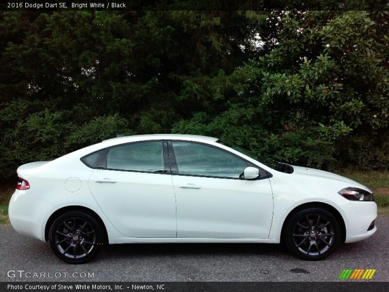 Bright White / Black 2016 Dodge Dart SE
