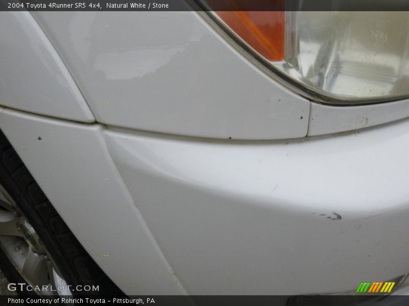 Natural White / Stone 2004 Toyota 4Runner SR5 4x4