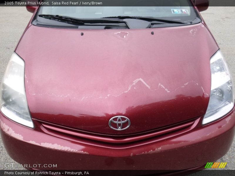 Salsa Red Pearl / Ivory/Brown 2005 Toyota Prius Hybrid