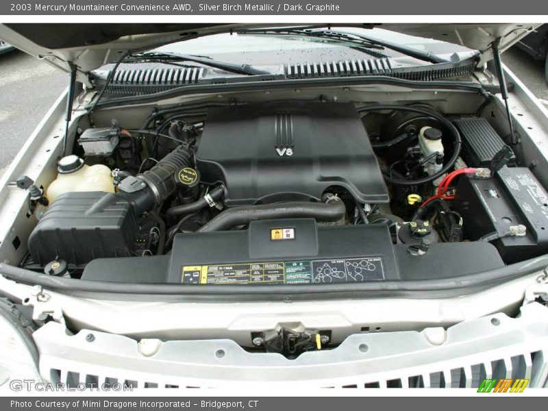 Silver Birch Metallic / Dark Graphite 2003 Mercury Mountaineer Convenience AWD