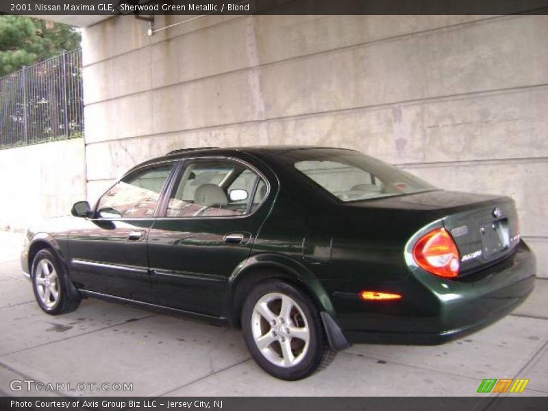Sherwood Green Metallic / Blond 2001 Nissan Maxima GLE