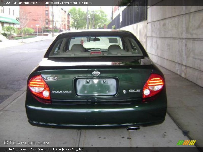 Sherwood Green Metallic / Blond 2001 Nissan Maxima GLE