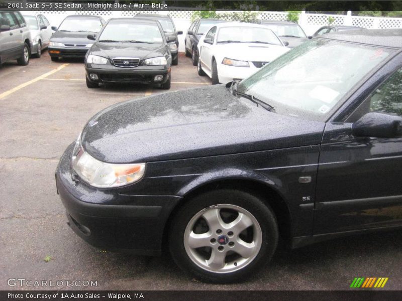 Midnight Blue / Warm Beige 2001 Saab 9-5 SE Sedan