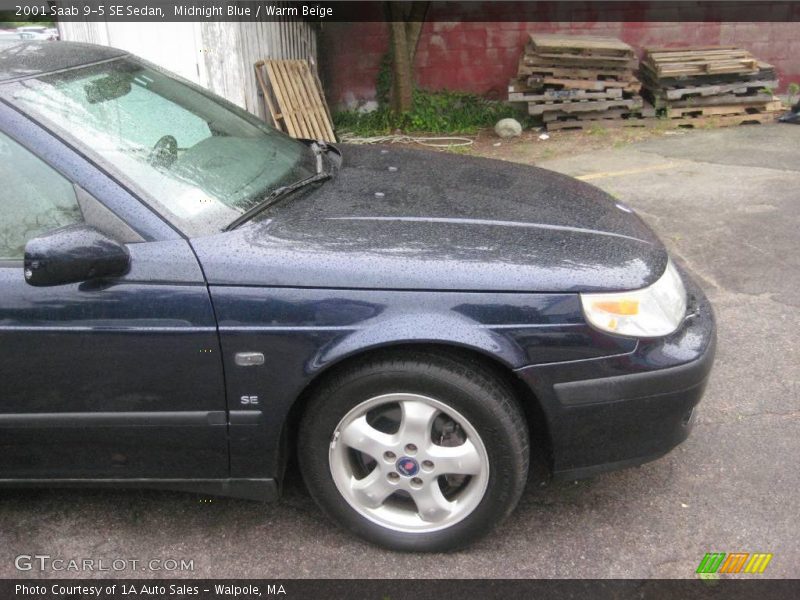 Midnight Blue / Warm Beige 2001 Saab 9-5 SE Sedan