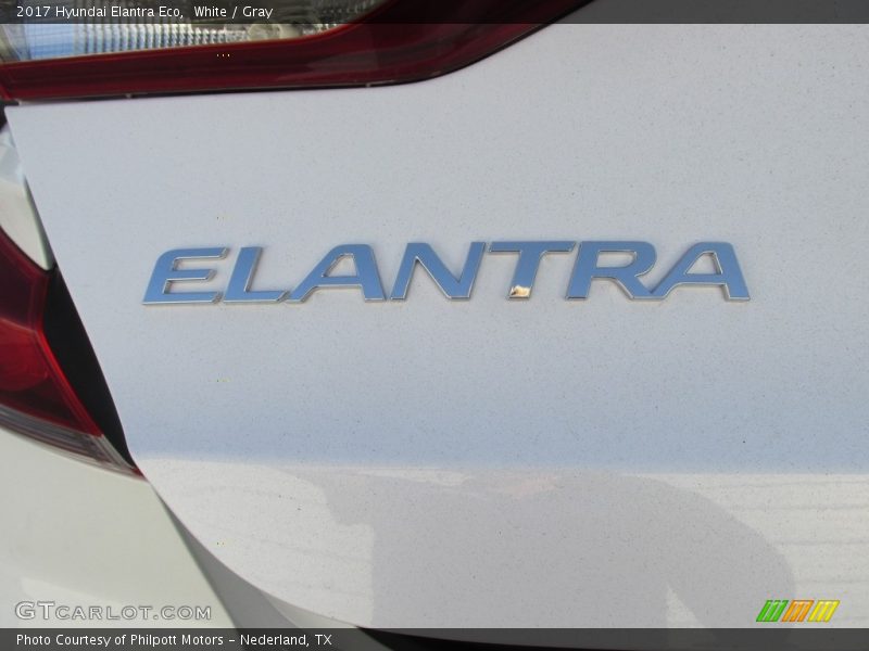  2017 Elantra Eco Logo