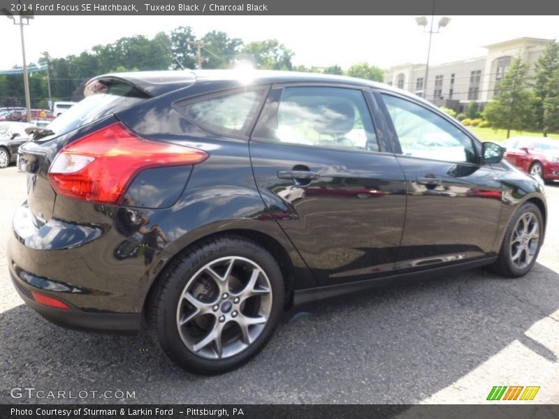 Tuxedo Black / Charcoal Black 2014 Ford Focus SE Hatchback