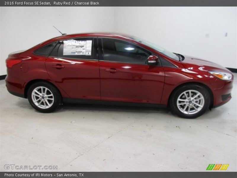 Ruby Red / Charcoal Black 2016 Ford Focus SE Sedan