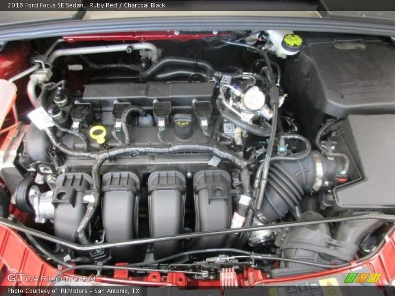 Ruby Red / Charcoal Black 2016 Ford Focus SE Sedan