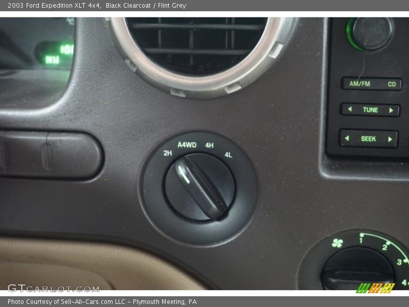 Black Clearcoat / Flint Grey 2003 Ford Expedition XLT 4x4