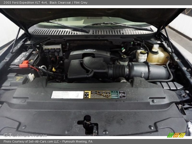 Black Clearcoat / Flint Grey 2003 Ford Expedition XLT 4x4