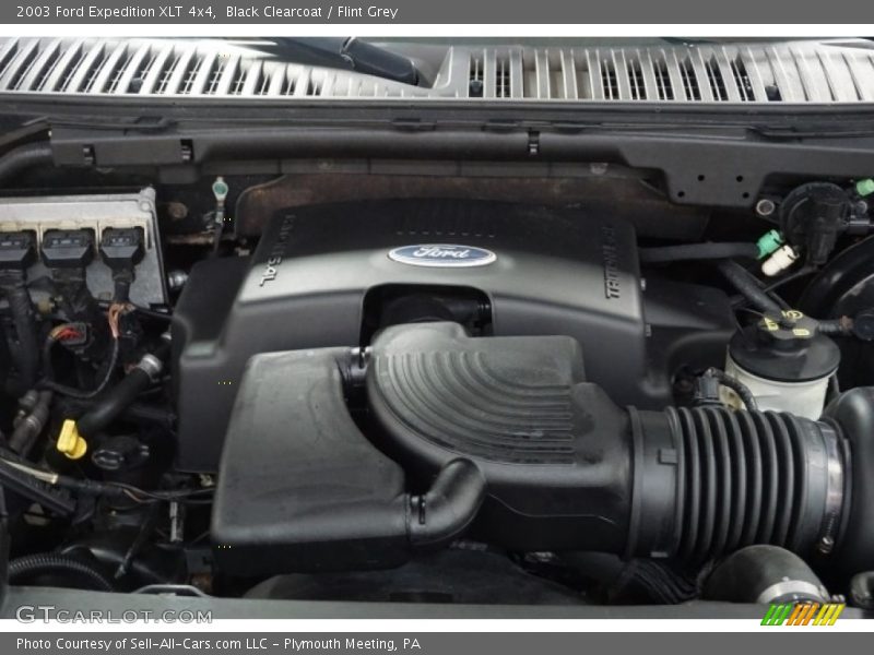 Black Clearcoat / Flint Grey 2003 Ford Expedition XLT 4x4
