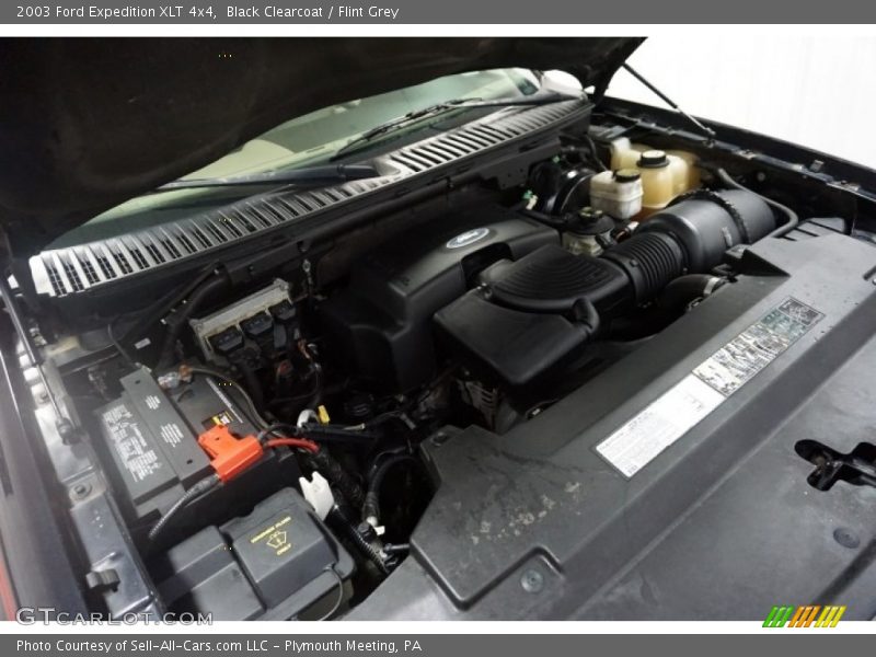 Black Clearcoat / Flint Grey 2003 Ford Expedition XLT 4x4