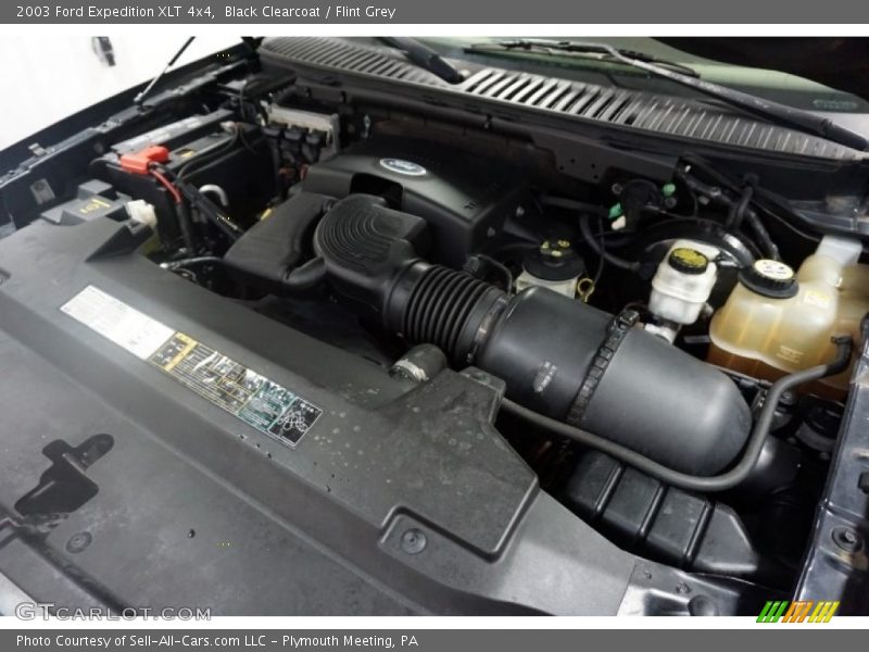 Black Clearcoat / Flint Grey 2003 Ford Expedition XLT 4x4