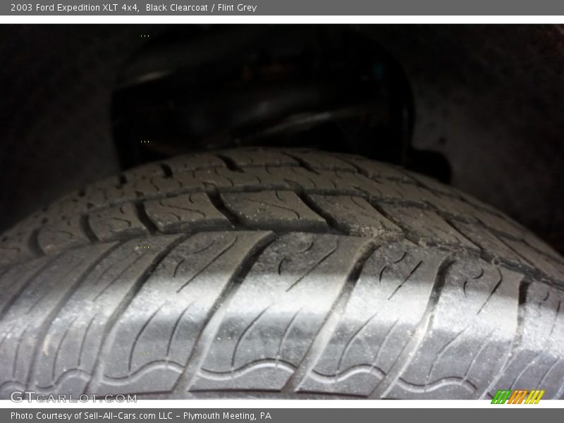 Black Clearcoat / Flint Grey 2003 Ford Expedition XLT 4x4
