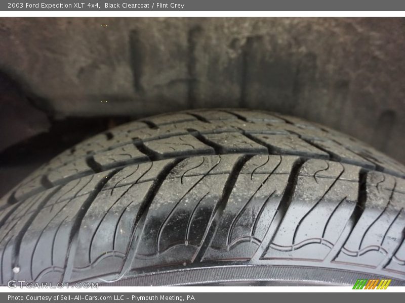 Black Clearcoat / Flint Grey 2003 Ford Expedition XLT 4x4