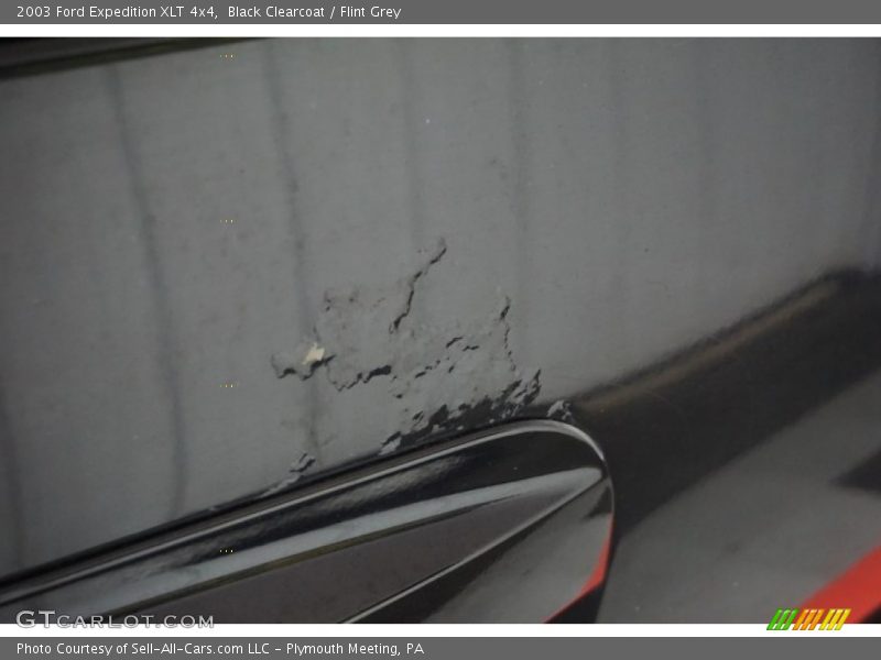 Black Clearcoat / Flint Grey 2003 Ford Expedition XLT 4x4