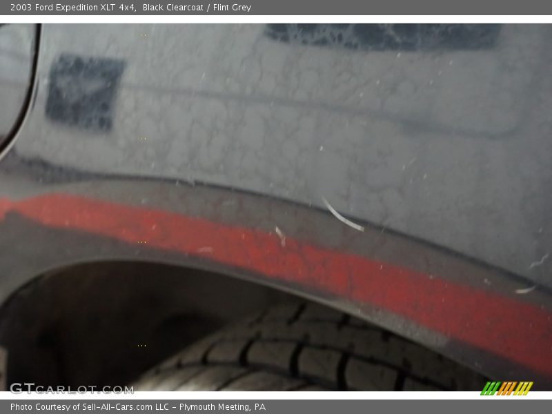 Black Clearcoat / Flint Grey 2003 Ford Expedition XLT 4x4