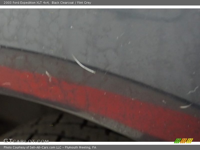 Black Clearcoat / Flint Grey 2003 Ford Expedition XLT 4x4