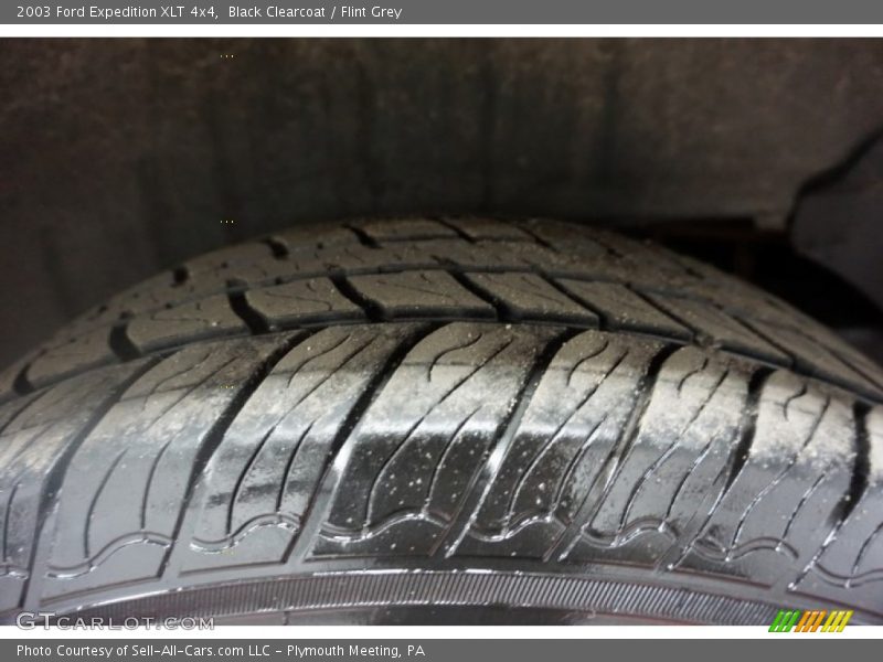 Black Clearcoat / Flint Grey 2003 Ford Expedition XLT 4x4