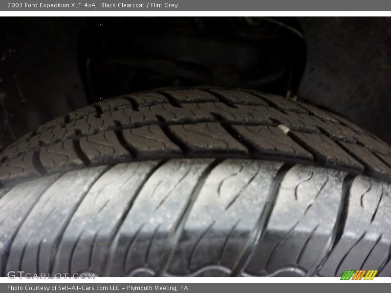 Black Clearcoat / Flint Grey 2003 Ford Expedition XLT 4x4