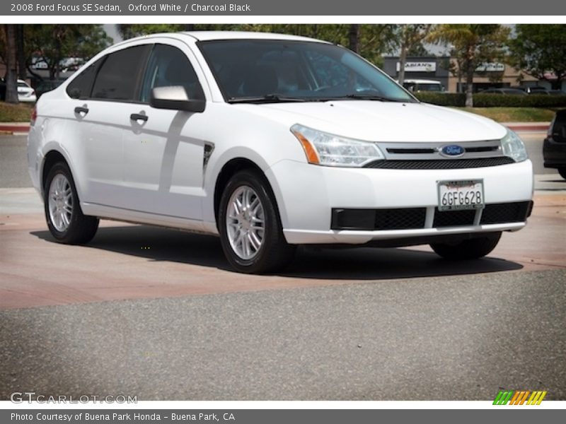 Oxford White / Charcoal Black 2008 Ford Focus SE Sedan