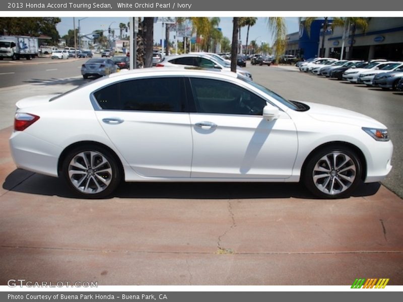 White Orchid Pearl / Ivory 2013 Honda Accord Touring Sedan