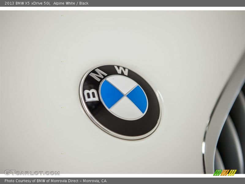 Alpine White / Black 2013 BMW X5 xDrive 50i