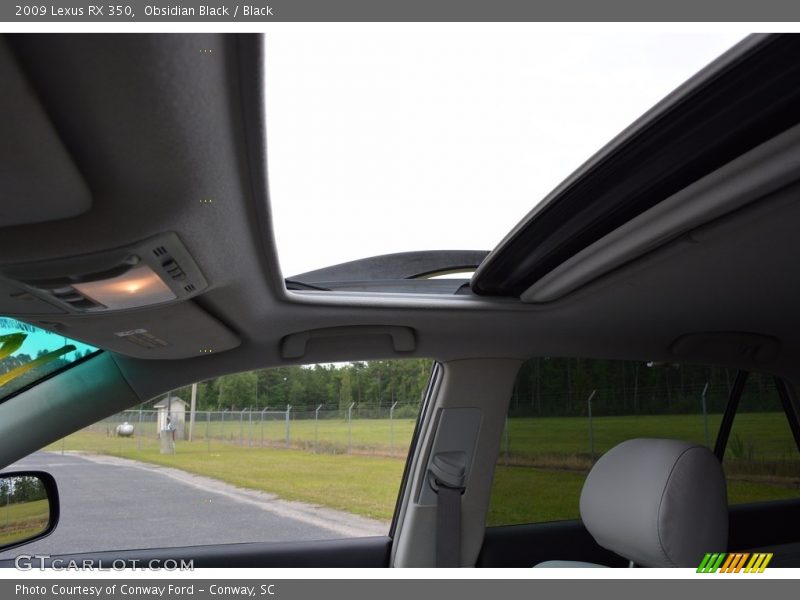 Obsidian Black / Black 2009 Lexus RX 350