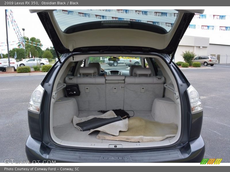 Obsidian Black / Black 2009 Lexus RX 350
