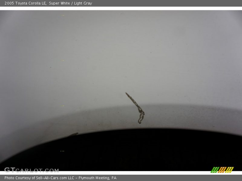Super White / Light Gray 2005 Toyota Corolla LE