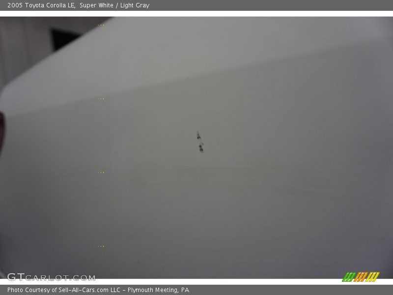 Super White / Light Gray 2005 Toyota Corolla LE