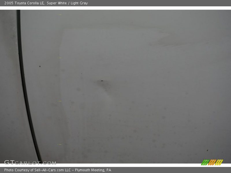 Super White / Light Gray 2005 Toyota Corolla LE