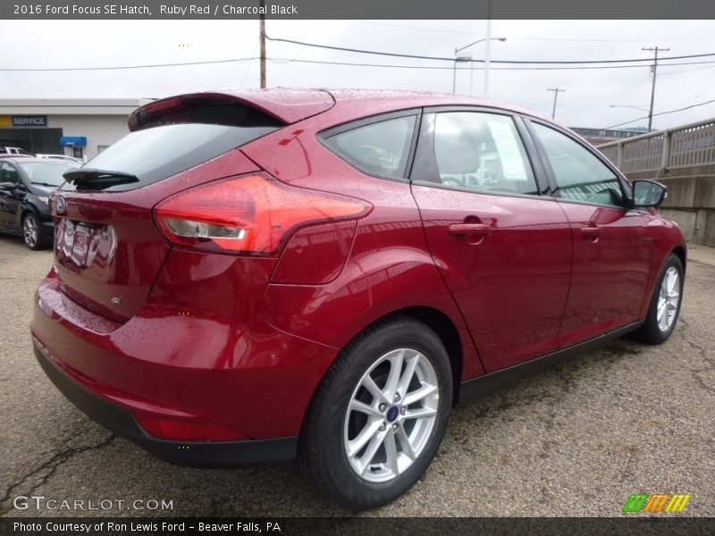 Ruby Red / Charcoal Black 2016 Ford Focus SE Hatch