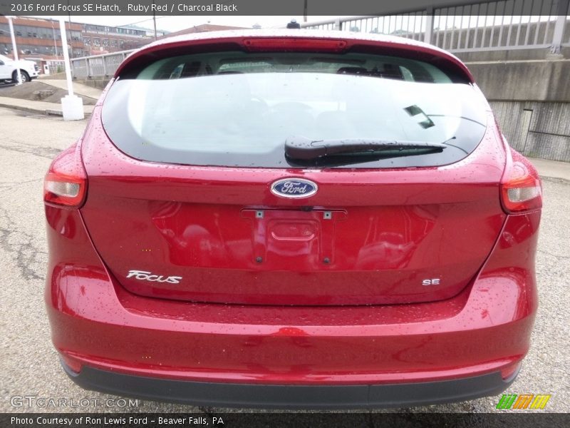 Ruby Red / Charcoal Black 2016 Ford Focus SE Hatch