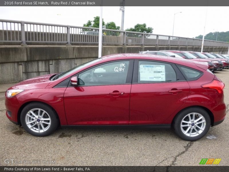 Ruby Red / Charcoal Black 2016 Ford Focus SE Hatch