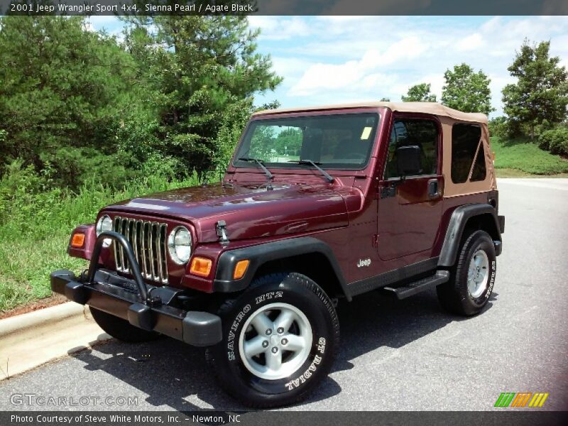 Sienna Pearl / Agate Black 2001 Jeep Wrangler Sport 4x4