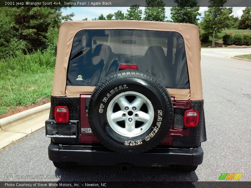Sienna Pearl / Agate Black 2001 Jeep Wrangler Sport 4x4