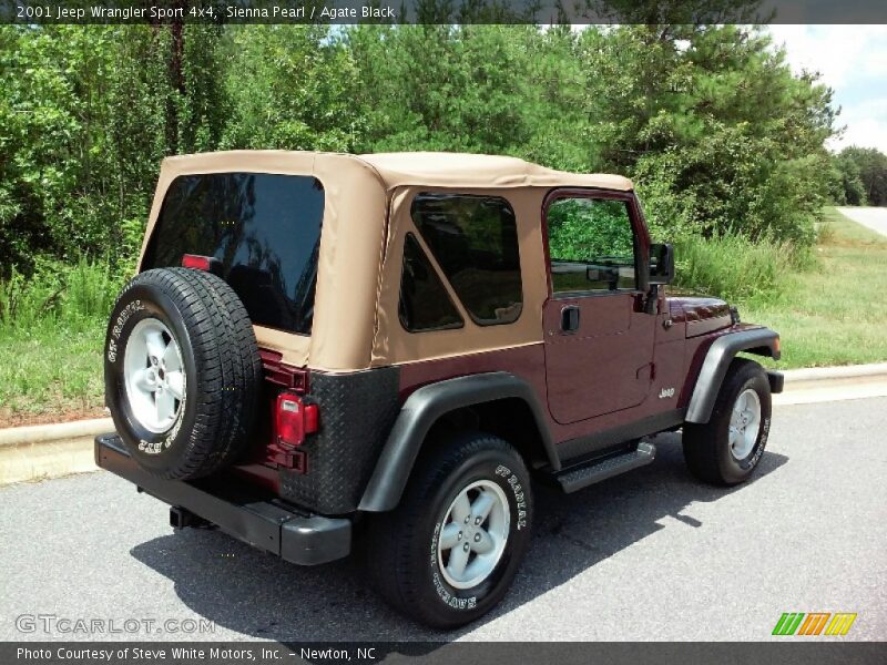 Sienna Pearl / Agate Black 2001 Jeep Wrangler Sport 4x4