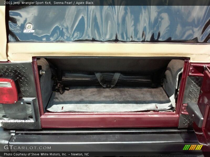 Sienna Pearl / Agate Black 2001 Jeep Wrangler Sport 4x4