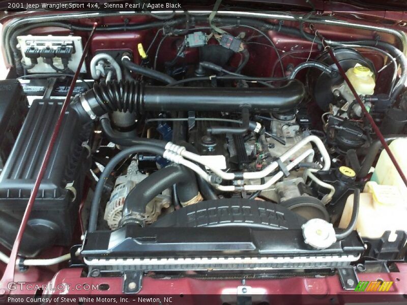 Sienna Pearl / Agate Black 2001 Jeep Wrangler Sport 4x4