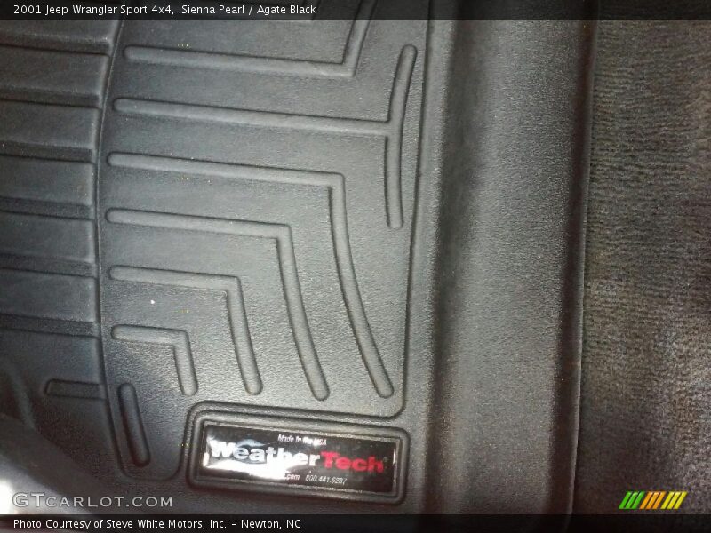 Sienna Pearl / Agate Black 2001 Jeep Wrangler Sport 4x4