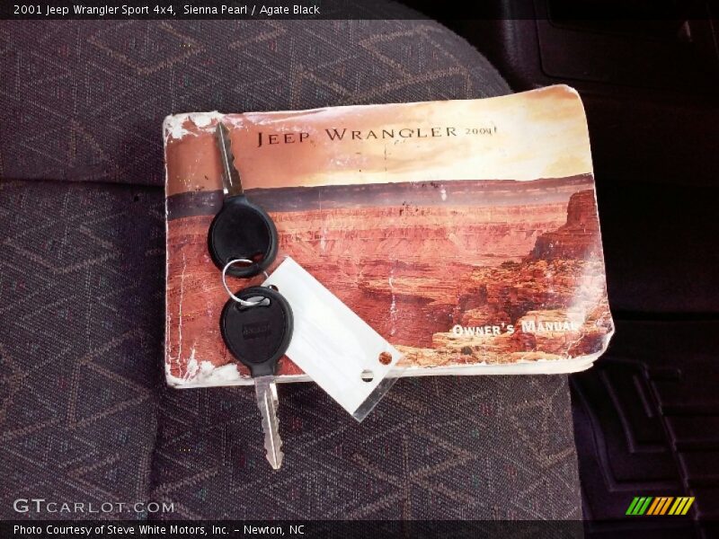 Sienna Pearl / Agate Black 2001 Jeep Wrangler Sport 4x4