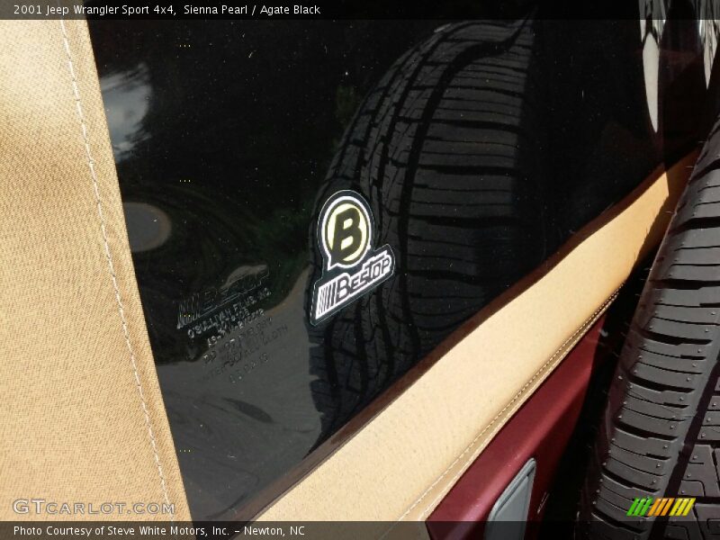 Sienna Pearl / Agate Black 2001 Jeep Wrangler Sport 4x4