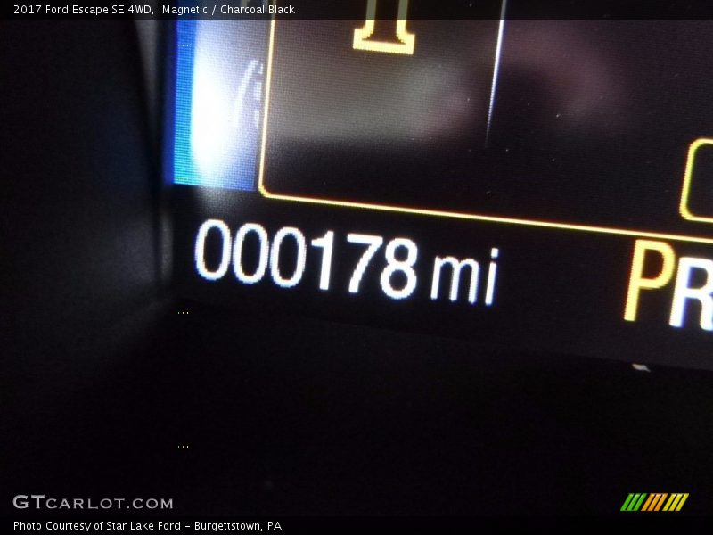 Magnetic / Charcoal Black 2017 Ford Escape SE 4WD