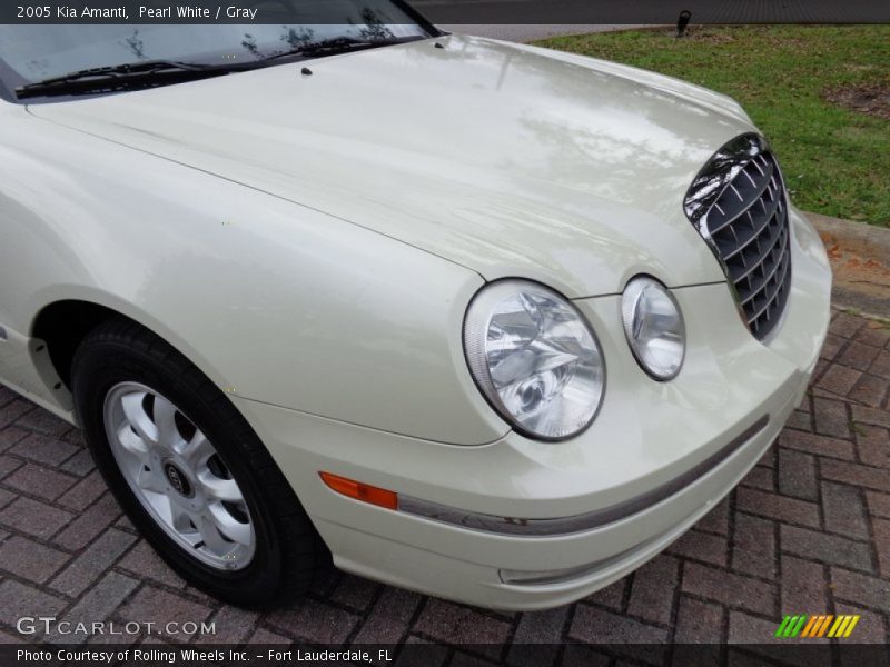 Pearl White / Gray 2005 Kia Amanti