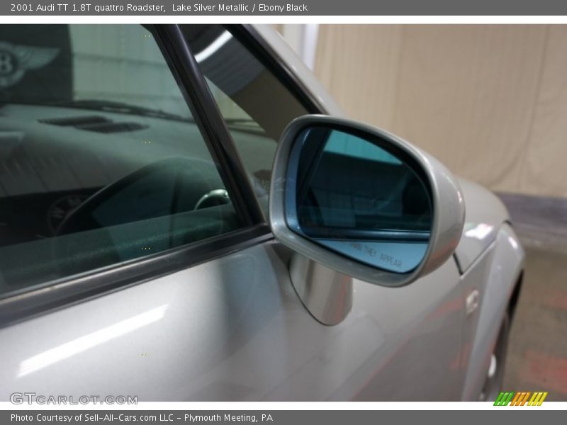 Lake Silver Metallic / Ebony Black 2001 Audi TT 1.8T quattro Roadster