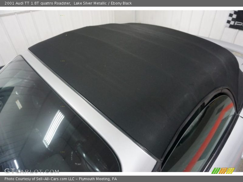 Lake Silver Metallic / Ebony Black 2001 Audi TT 1.8T quattro Roadster