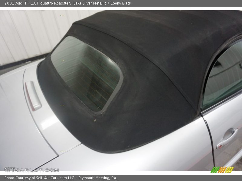 Lake Silver Metallic / Ebony Black 2001 Audi TT 1.8T quattro Roadster