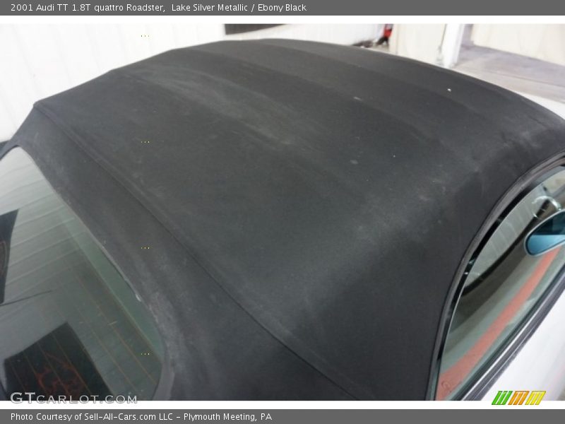 Lake Silver Metallic / Ebony Black 2001 Audi TT 1.8T quattro Roadster
